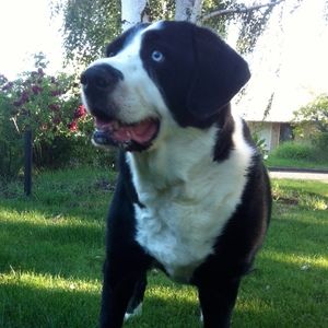 Meet your Posher, Felicia